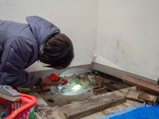 Best Commercial Mold Inspection  in Bessemer, AL