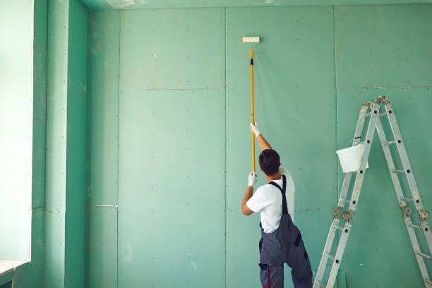 Best Emergency Mold Remediation  in Bessemer, AL