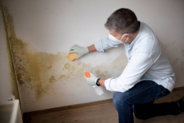 Best Air Quality Testing for Mold Spores  in Bessemer, AL