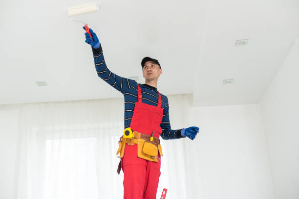 Best Mold Removal for HVAC Installations  in Bessemer, AL