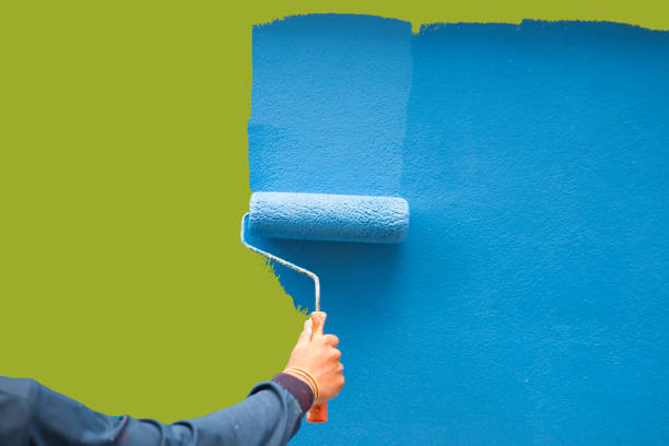 Reliable Bessemer, AL Mold Removal Solutions